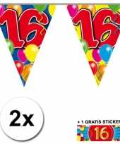 2 gekleurde vlaggenlijnen 16 jaar met sticker