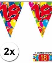 2 gekleurde vlaggenlijnen 18 jaar met sticker
